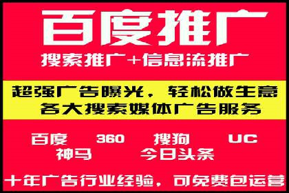 竞价广告投放技巧与案例分析